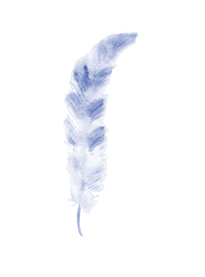 Feder_blue